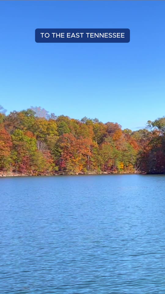 Founder story video: Tellico Lake Home Team